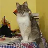 Отзыв от Лера Касьянова